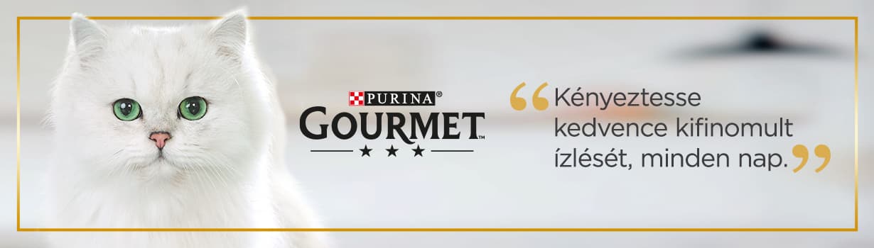 Purina Gourmet