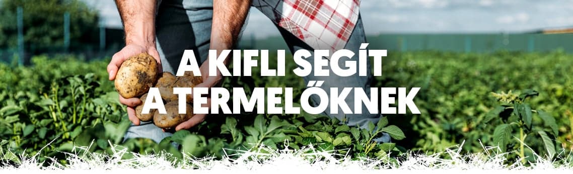 Kistermelői Együttműködési Program