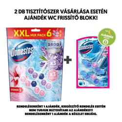 Domestos Power5 Magnolia / Lavender mix WC illatosító blokk, 6x50 g