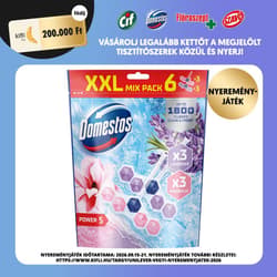 DOMESTOS Power5 WC freshener block mix, Magnolia / Lavender, 6x50g