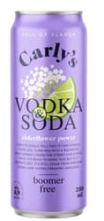 Carly's Vodka & Soda Elderflower Power