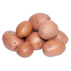 Hazai BIO piroshéjú újburgonya Pecznyik Béla gazdától, csomagolt