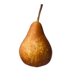 Hungarian Bos Kobak pear, loose