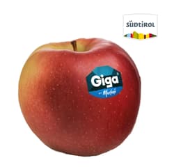 Giga fajtájú alma (85-90 mm-es átmérő), lédig