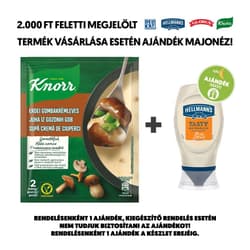 Knorr Erdei Gombakrémleves
