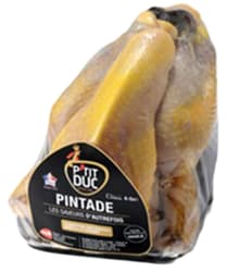 Petit Duc gyöngytyúk