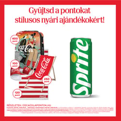 Sprite Lemon and Lime Flavored Carbonated Soft Drink 330 ml