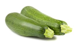Hazai BIO cukkini Pecznyik Béla gazdától, lédig