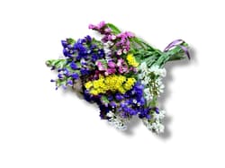 Nusy Flower Salt flower mono bouquet