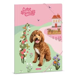 A/4 BINDER