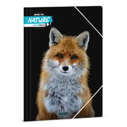 A/4 Dosszié Máté Bence-Fox (5388) 24
