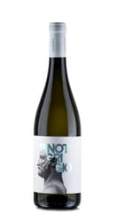 Teanum - Pinot Grigio