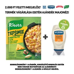 Knorr Tepsimix Ham and Cheese Casserole Pasta Base 42 g