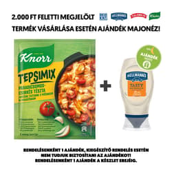 Knorr Tepsimix Tomato and Chicken Casserole Pasta Base 48 g