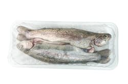 Rainbow trout, 2 pieces, cca 6-800g, vacuum packed