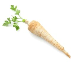Hungarian BIO parsley root from farmer Béla Pecznyik, loose