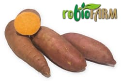 Hazai BIO sárga húsú batáta, édesburgonya robioFARMtól
