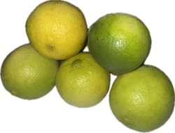Limes Tahiti