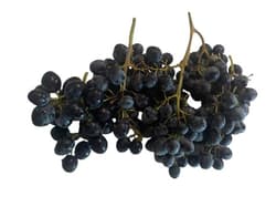 Hungarian BIO Organic Kingdom black delicacy grapes, packaged