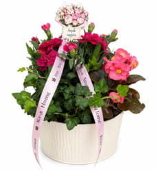 Nusy Flower Outdoor Plant Arrangement