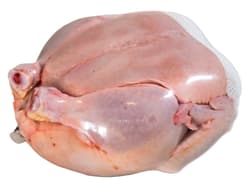 Fresh gutted chicken, without giblets, grade “A”.