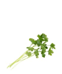 Parsley, chopped