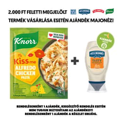 KNORR Alfredo Csirkés tészta alap