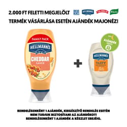 Hellmann's XL Cheddar sajtszósz