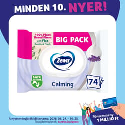 Zewa Calming nedves toalettpapír