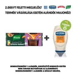 Knorr Concentrated Stock with Roasted Garlic Flavoring 4 x 26 g (104 g)
