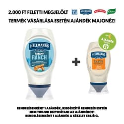 Hellmann's Fokhagymás Ranch szósz