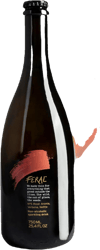 Feral N˚5 Fermentált nyírfanedvital aróniával, verbénával, csalánnal, cickafarkkal és tormával