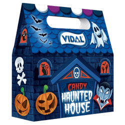 Vidal Haunted House Box