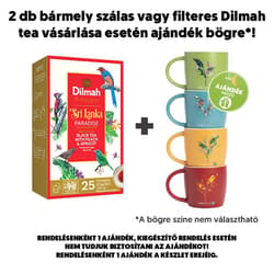 Dilmah Sri Lanka Paradise Black Tea with Peach & Apricot filteres barackos fekete tea