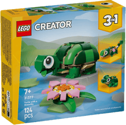 Turtle with a water lily flower