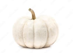 Fehér halloween tök