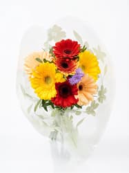 Gyuris Kertészet Rainbow gerbera csokor, őszi színekben