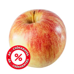 Royal Gala Apple, loose