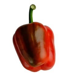 California bell pepper red