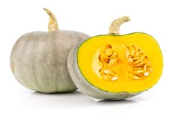 Nagydobosi sütőtök