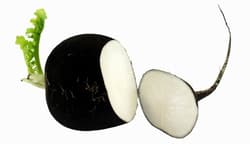 Black radish