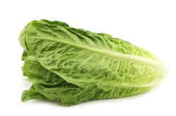 Roman salad