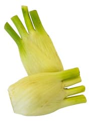 Fennel
