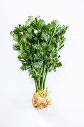 Celery tuber, leafy