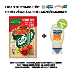 Knorr Cup with Soup Tomato Soup Noodles