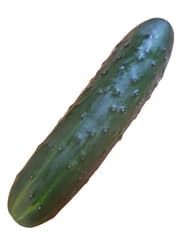 Magyar fürtös uborka,lédig