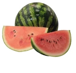 Mini watermelon