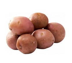 New potatoes, embers, canned