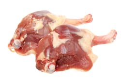 Pro-Duck Duck Thigh
