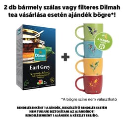 Dilmah Earl Grey black tea with begramot in aroma box